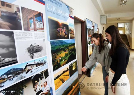 Язык через образ: как искусство помогает изучать русский в Братиславе